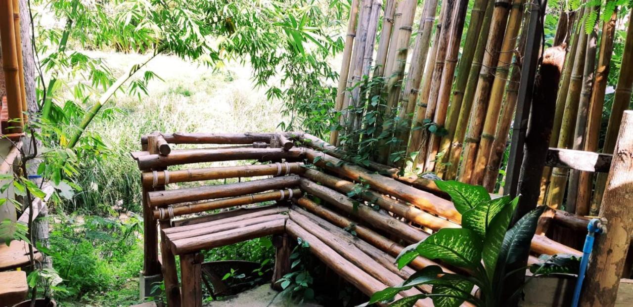 Good Life Dacha Wellness Homestay Paj Kültér fotó
